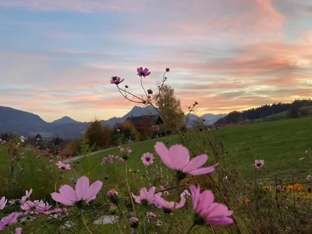 Holiday home Guesthouse Paradies Samerberg Germany