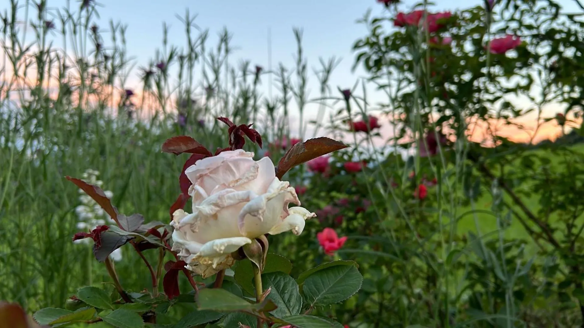 Guesthouse Paradies Samerberg Holiday home